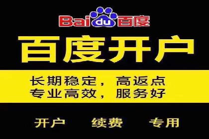竞价账户优化：成功企业的广告策略揭秘