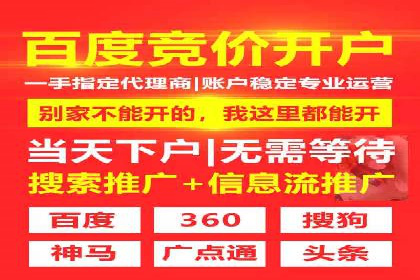某品牌通过百度竞价提升线上销售业绩的案例